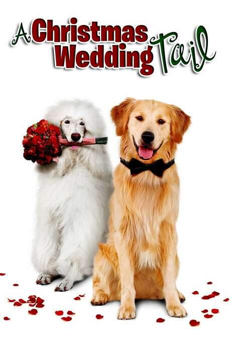A Christmas Wedding Tail